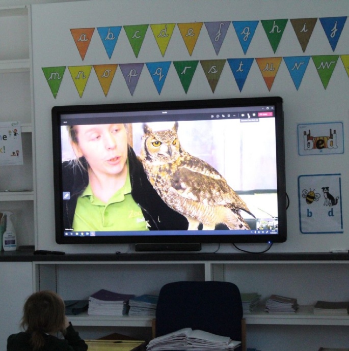 News » Fascinating Virtual Zoo Visit For Year 2